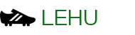 LEHU -乐虎-(88国际)官方网站